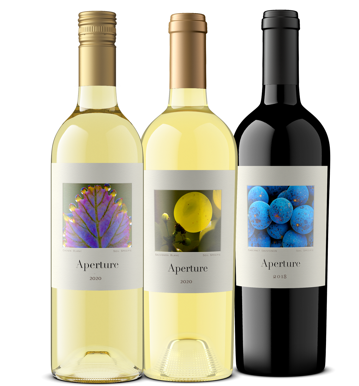 Virtual Tasting Kit Aromatic White Wines and Aperture