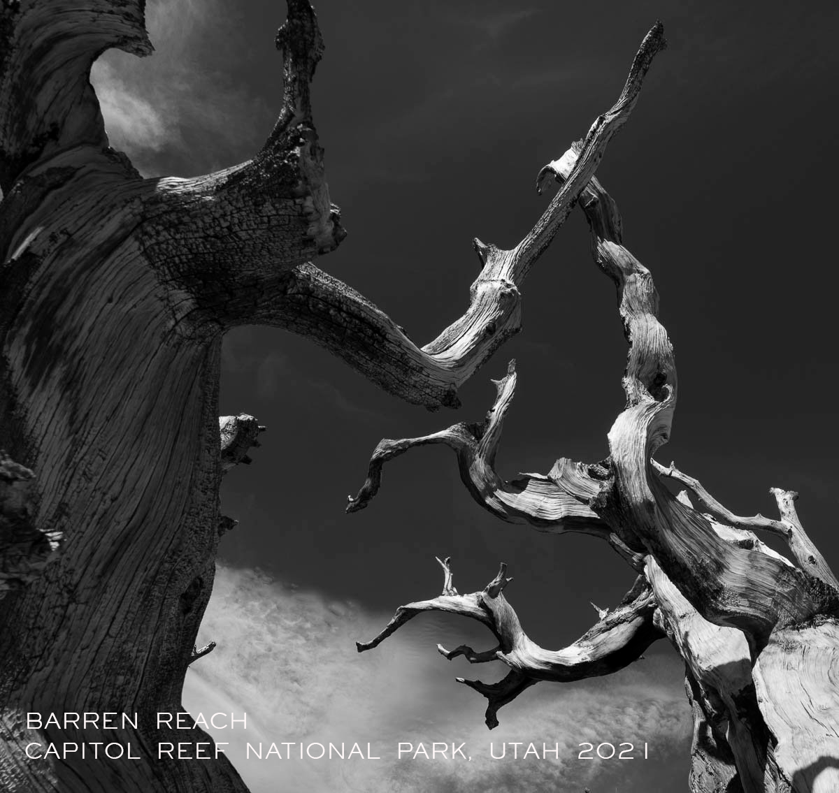 BARREN+REACH