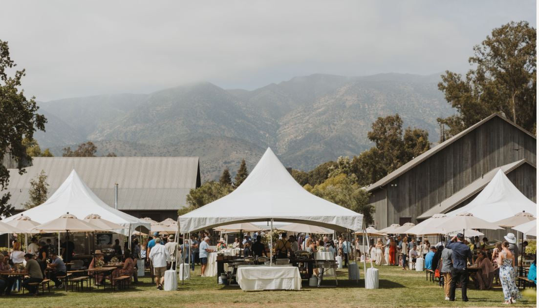 Grand+Tastings